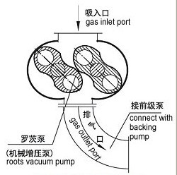 ZJ係列羅茨真空泵的原理圖